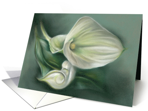 White Calla Lily Pastel Floral Art Any Occasion Blank card (1569172)