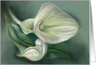 White Calla Lily Pastel Floral Art Any Occasion Blank card