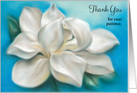 Custom Thank You for Patience White Magnolia Pastel Art card