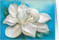 White Magnolia Pastel Artwork Any Occasion Blank card