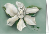 Custom Thinking of You Gardenia White Flower Pastel Artwork card