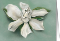 Gardenia White Flower Pastel Artwork Any Occasion Blank card