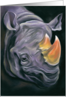 Surreal Rhinoceros...