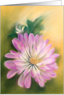 Pink and White Chrysanthemum Pastel Fall Floral Any Occasion Blank card