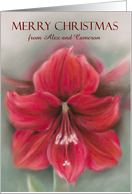 Merry Christmas from Couple Personalized Names Red Amaryllis Pastel card