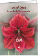 Custom Thank You for Christmas Gift Red Amaryllis Pastel Flower Art card