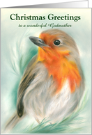Custom Christmas Greetings for Relative Godmother European Robin card