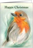 Happy Christmas European Robin Redbreast Bird Pastel Art card