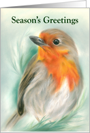 Season's Greetings...