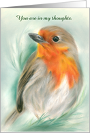 Custom Thinking of You European Robin Redbreast Bird Art card