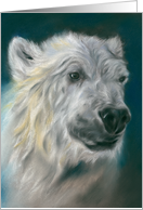 Polar Bear Wildlife Pastel Artwork Any Occasion Blank card
