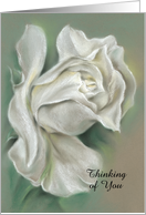 White Rose Pastel Art Custom Thinking of You card