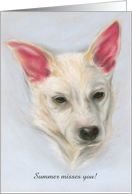Custom Missing You Carolina Dog Pastel Pet Artwork card