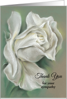 White Rose Custom Thank You for Sympathy card