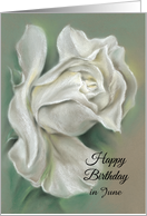 White Rose Pastel Art Custom June Birthday card