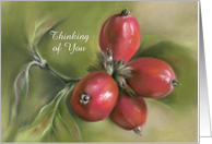 Custom Thinking of You Autumn Dogwood Berries Pastel Art card