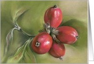 Autumn Dogwood Berries Pastel Art Any Occasion Blank card