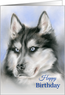 Happy Birthday Siberian Husky Dog Portrait Pastel Art card