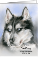 Custom Condolences for Loss of Pet Siberian Husky Dog card