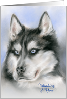 Custom Thinking of You Siberian Husky Dog Portrait Pastel Art card
