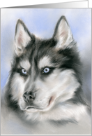 Siberian Husky Dog Portrait Pastel Art Any Occasion Blank card
