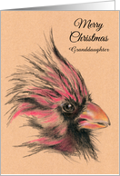 Rustic Cardinal Christmas Personalized for Relative Granddaughter card