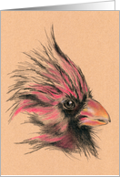 Rustic Cardinal Bird Art Any Occasion Blank card