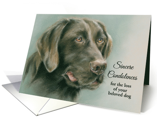 Chocolate Labrador Retriever Custom Condolences for Loss of Pet card