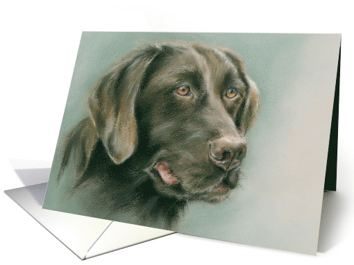 Chocolate Labrador Retriever Dog Pastel Art Any Occasion Blank card