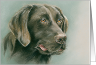 Chocolate Labrador Retriever Dog Pastel Art Any Occasion Blank card