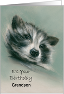 Raccoon Pastel Art Personalized Birthday for Relative Grandson card