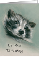 Raccoon Portrait Pastel Art Birthday card