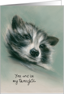 Raccoon Portrait Pastel Art Custom Thinking of You card