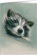 Raccoon Portrait Pastel Art Any Occasion Blank card