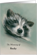 Raccoon Portrait Pastel Art Custom Condolences for Loss of Pet card