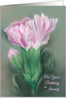 Pink Carnations Pastel Art January Birthday card