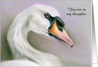 Elegant White Swan Pastel Artwork Custom Thinking of You card