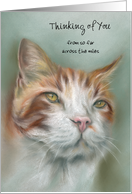 Ginger and White Tabby Cat Custom Thinking of You Across the Miles card