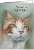 Ginger and White Tabby Cat Pastel Art Custom Thinking of You card