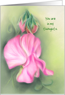 Pink Sweet Peas Floral Pastel Artwork Custom Thinking of You card