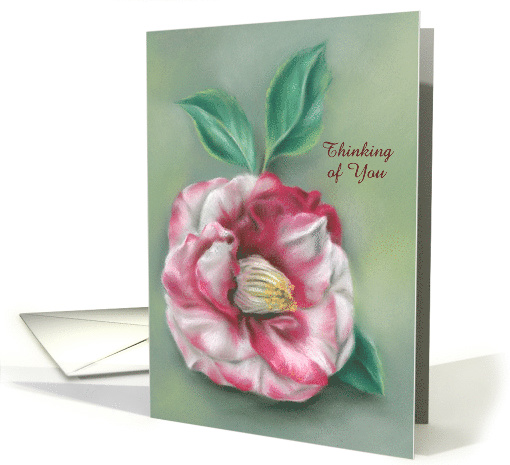 Red and White Camellia Flower Pastel Artwork Custom... (1600452)