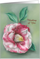 Red and White Camellia Flower Pastel Artwork Custom Thinking of You card
