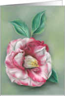 Red and White Camellia Flower Pastel Artwork Any Occasion Blank card