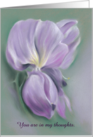 Purple Wisteria Flowers Pastel Artwork Custom Thinking of You card