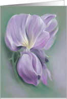 Purple Wisteria Flowers Pastel Artwork Any Occasion Blank card