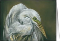 White Egret Pastel Bird Artwork Any Occasion Blank card