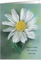 White Daisy Pastel...