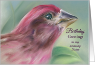 Purple Finch Pastel Bird Art Personalized Birthday for Relative Sister card