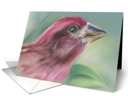 Purple Finch Pastel Bird Artwork Any Occasion Blank card (1606918)