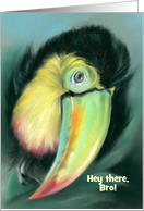 Toucan Colorful Bird Artwork Custom Birthday Relative Brother card